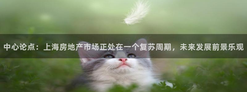 摩登7平台总代理：中心论点：上海房地产市场正处在一个复苏周期