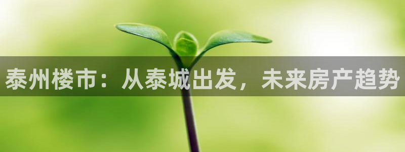 摩登7登陆平台：泰州楼市：从泰城出发，未来房产趋势