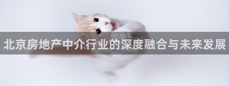 摩登7夜判官333OO：北京房地产中介行业的深度融合与未来发