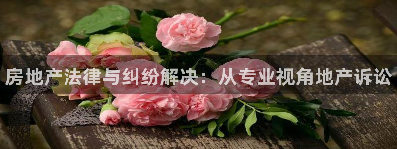 摩登7上级：房地产法律与纠纷解决：从专业视角地产诉讼