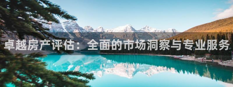 摩登7娱乐平台怎么样：卓越房产评估：全面的市场洞察与专业服务