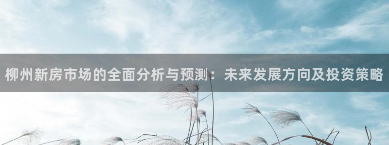 摩登7开户：柳州新房市场的全面分析与预测：未来发展方向及投资