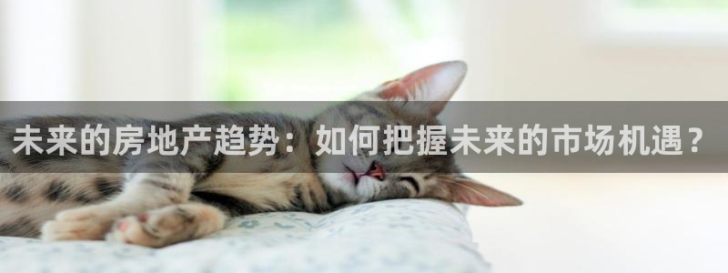 摩登7彩票平台登陆总代：未来的房地产趋势：如何把握未来的市场