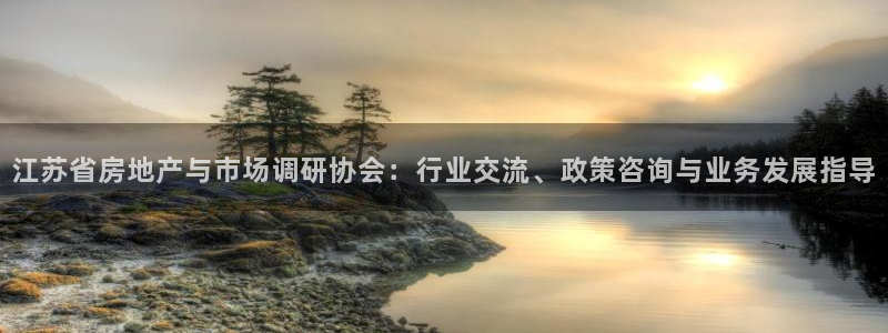 摩登7排名：江苏省房地产与市场调研协会：行业交流、政策咨询与