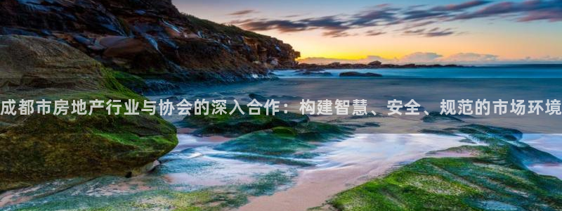 摩登精品7口碑极限：成都市房地产行业与协会的深入合作：构建智