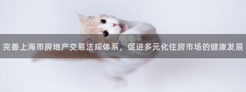 摩登7平台网址下载：完善上海市房地产交易法规体系，促进多元化