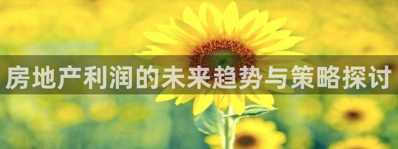 摩登7平台首页：房地产利润的未来趋势与策略探讨