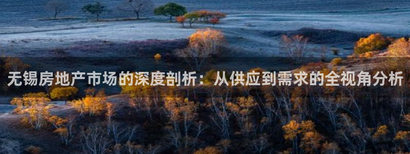 摩登3前7O667：无锡房地产市场的深度剖析：从供应到需求的