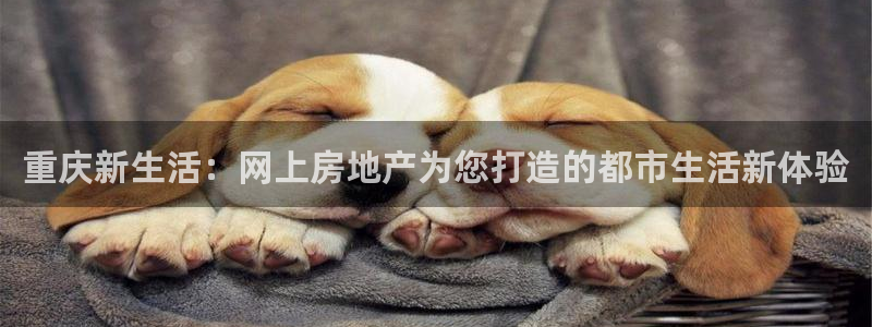 摩登7股东：重庆新生活：网上房地产为您打造的都市生活新体验