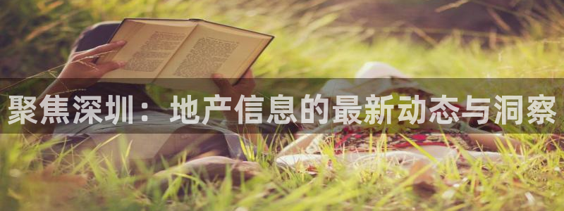 摩登6冯这7O667：聚焦深圳：地产信息的最新动态与洞察