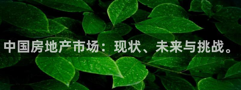 摩登7日7O667：中国房地产市场：现状、未来与挑战。
